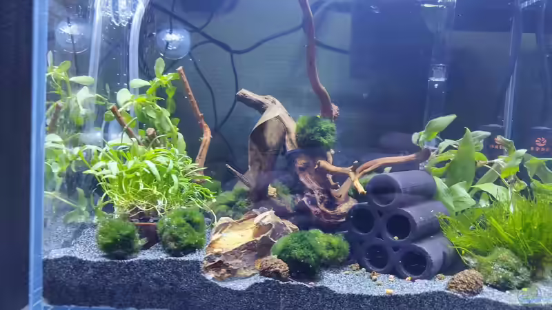 Ansicht1 von HOTU (5)