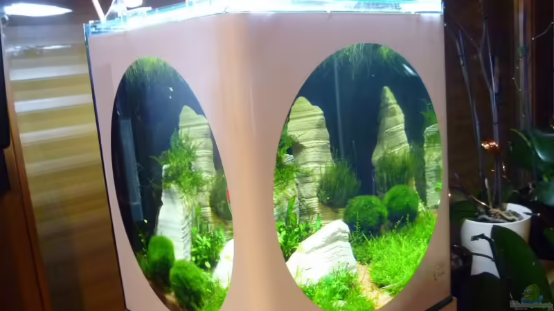 Ansicht1 von tanja4 (4)