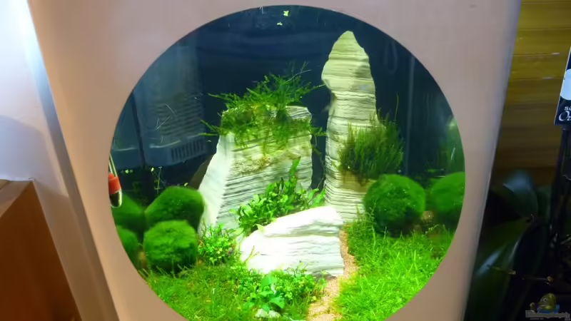 Ansicht2 von tanja4 (5)