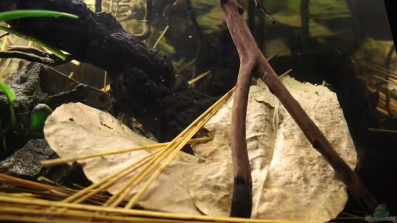 Ansichten ! von Florian Bandhauer (31)