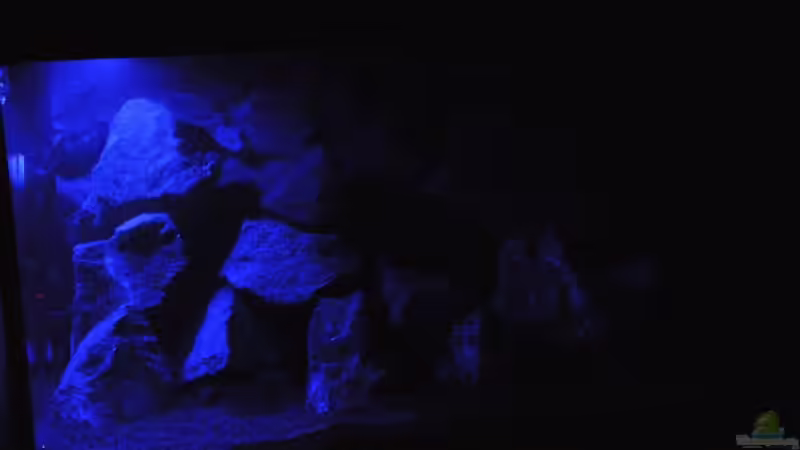 Ansichten bei Nacht! von Florian Bandhauer (26)