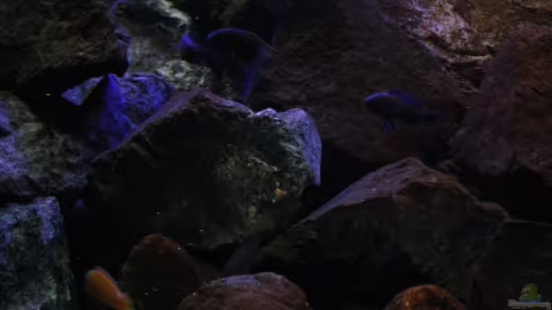 Ansichten! von Florian Bandhauer (7)