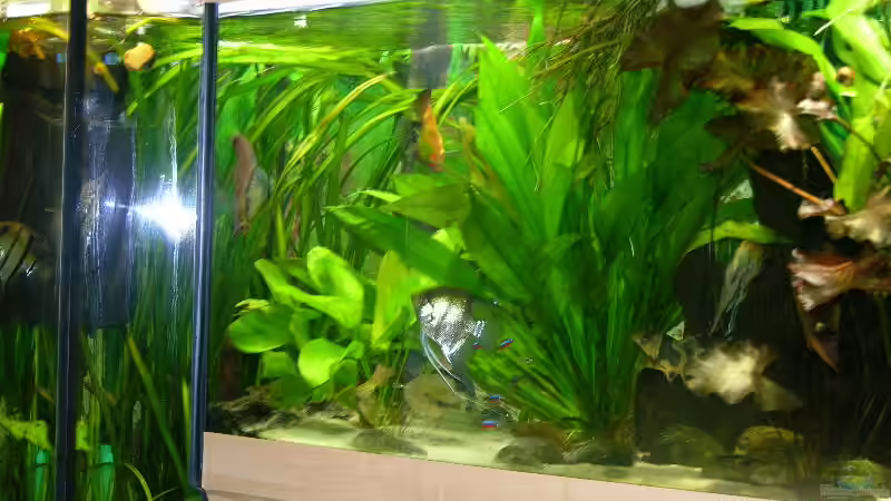 Ansichten von Werner Buntin (8)