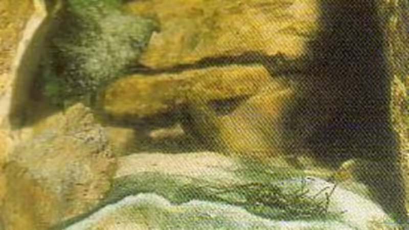 Anti Blaualge! von Dennis V12