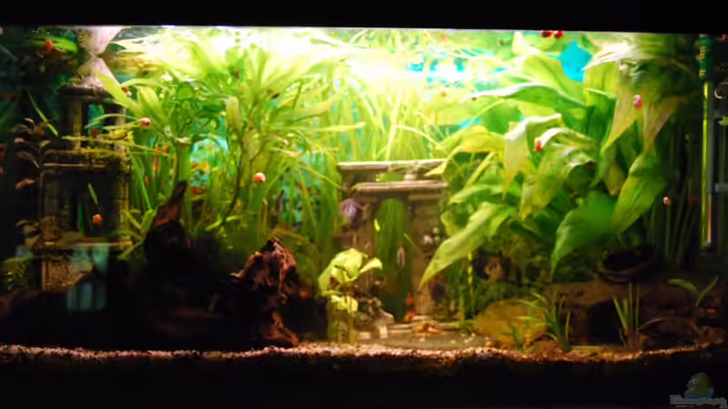 Antike Stadt im August