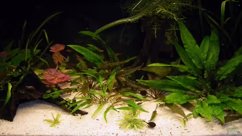 April 2007 von toast (2)