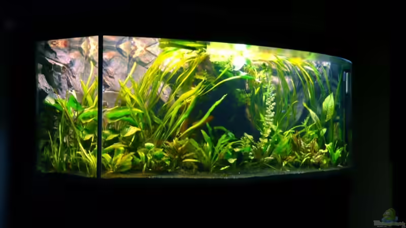 April 2008 von Tim Burow (5)