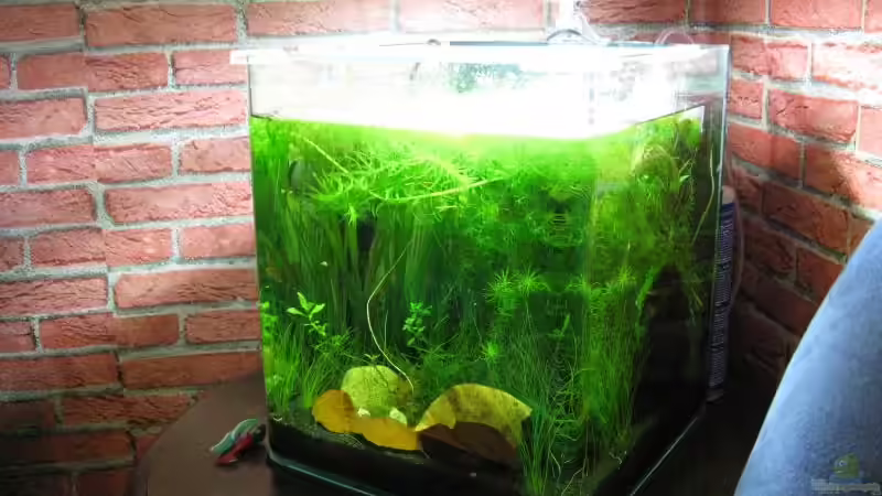 April 2009 von Marlone (2)