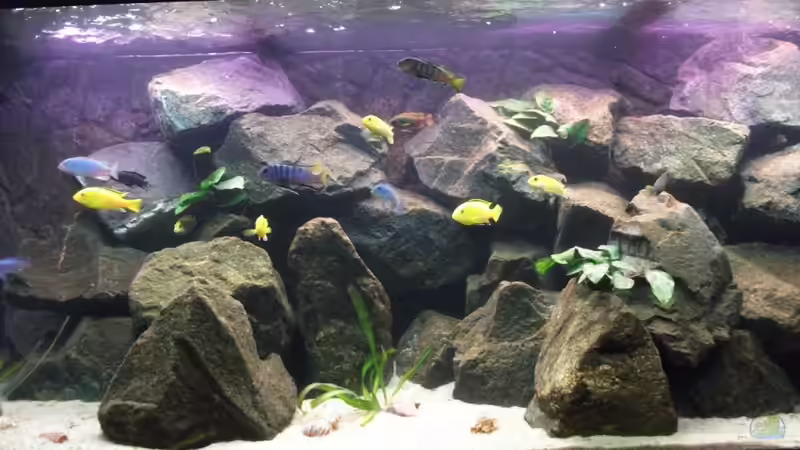 April 2010 von Vision112 (11)