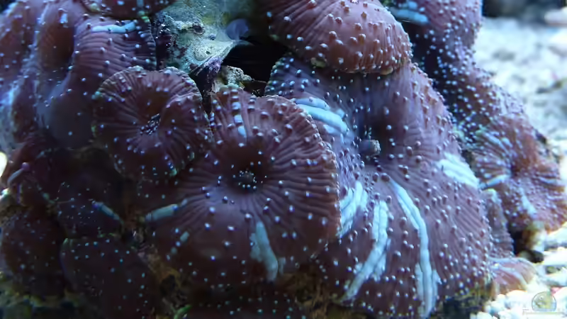 April 2011 von Stephan Ascher (28)