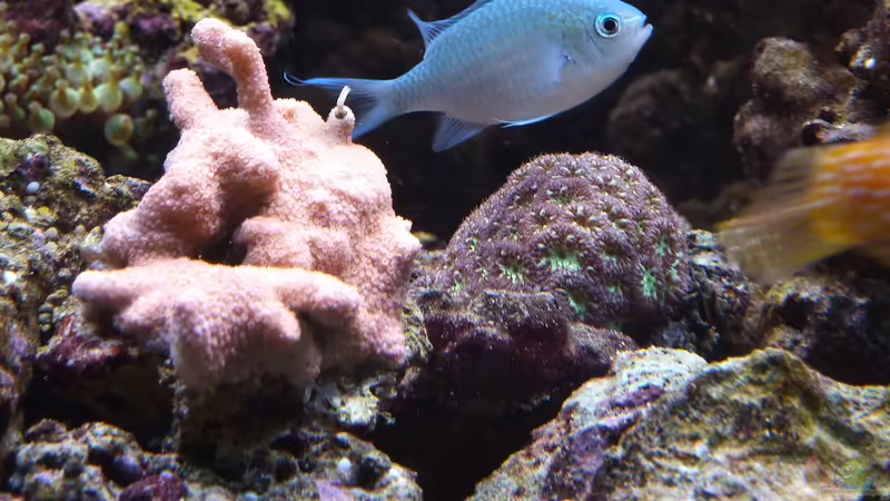 April 2011 von Stephan Ascher (29)