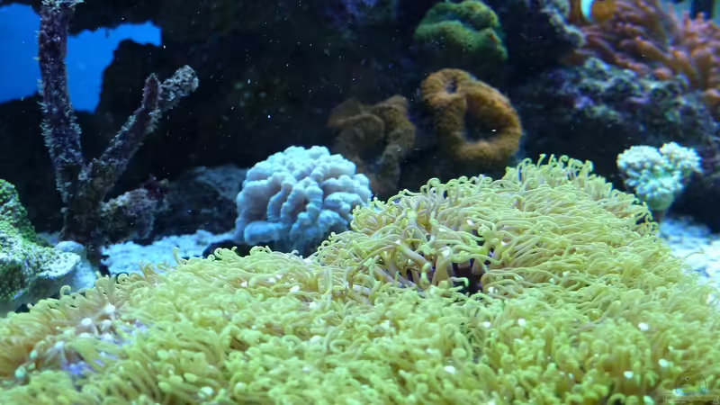 April 2011 von Stephan Ascher (30)