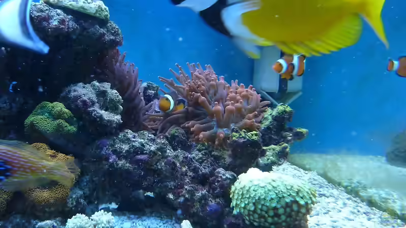 April 2011 von Stephan Ascher (45)