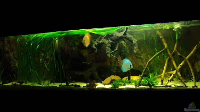 April 2012 von PH Neutral (13)