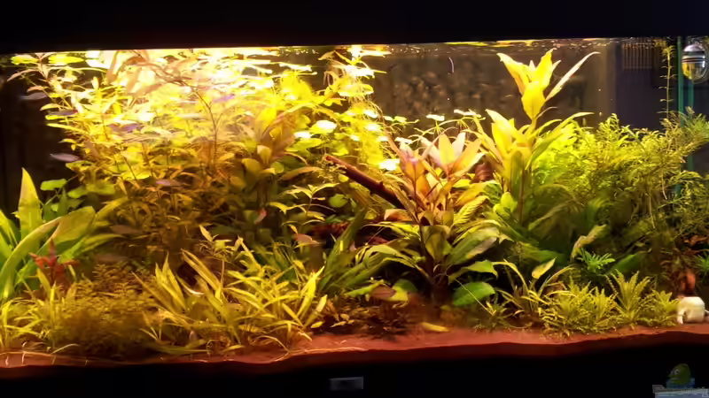 April 2012 von SleazeRocker (9)