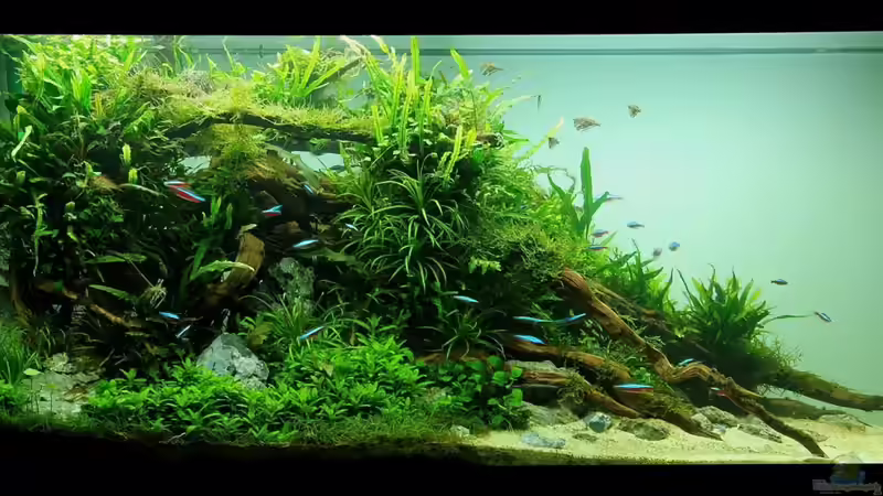 April 2013 II von disco-d (9)