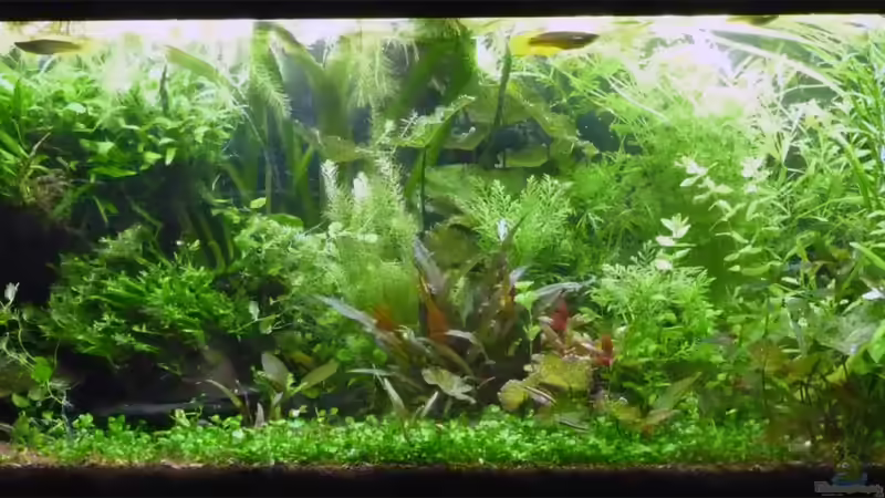 April 2013 von _ME_ (2)