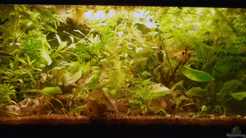 April 2013 von _ME_ (2)