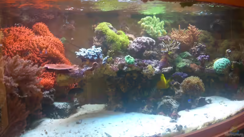 April 2013 von Bluewater (33)