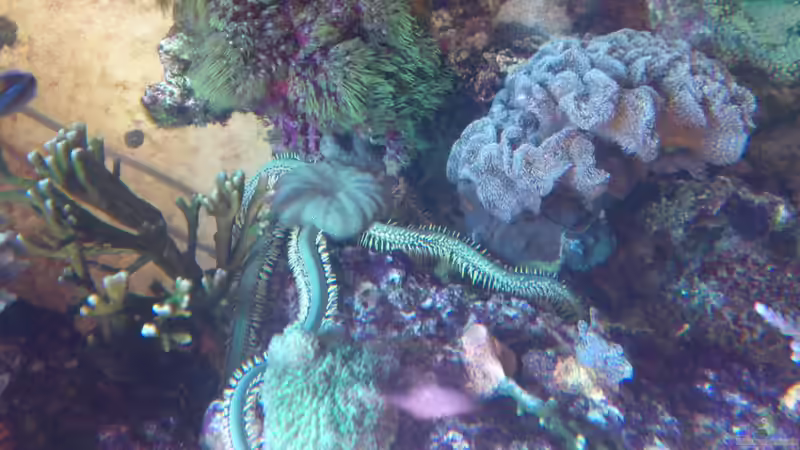 April 2013 von Bluewater (34)