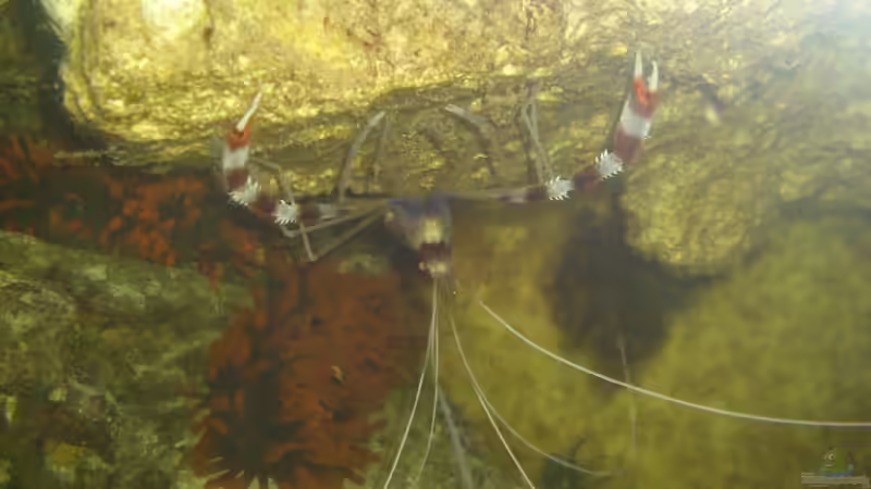 April 2013 von Bluewater (35)