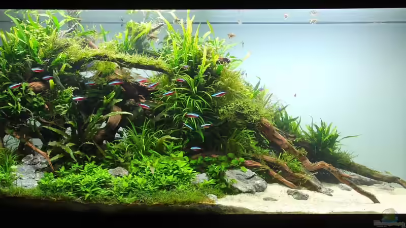 April 2013 von disco-d (8)