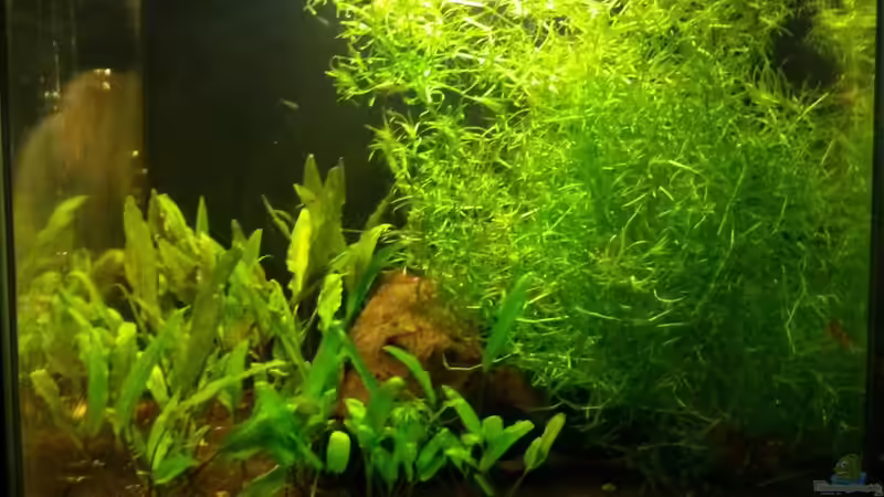 April 2013 von Gregor (8)