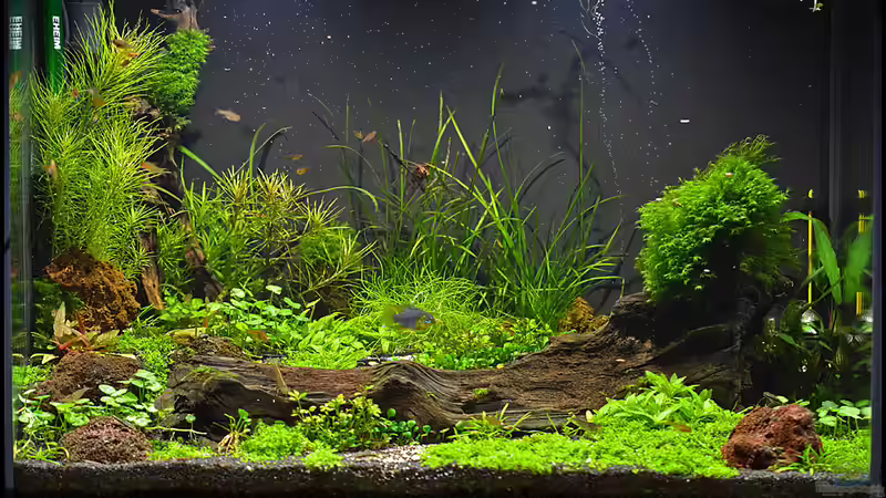 April 2013 von Tuduhi (2)