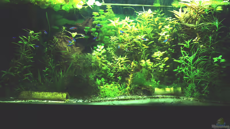 April 2014 von hotwheelz (3)