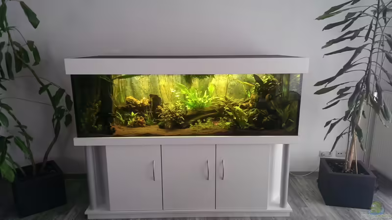 April 2014 von Seemann (5)