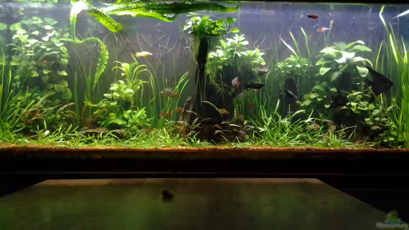 April 2014 von Steven Müller (4)