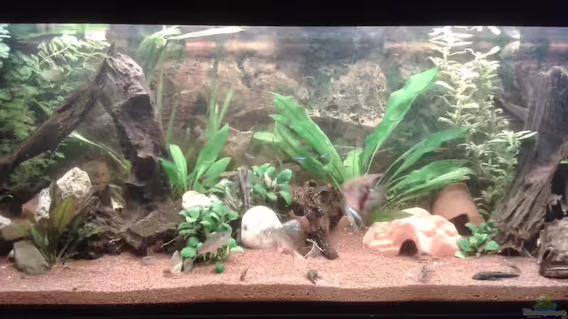 April 2015, die erste Einrichtung  von Ele Meer (9)