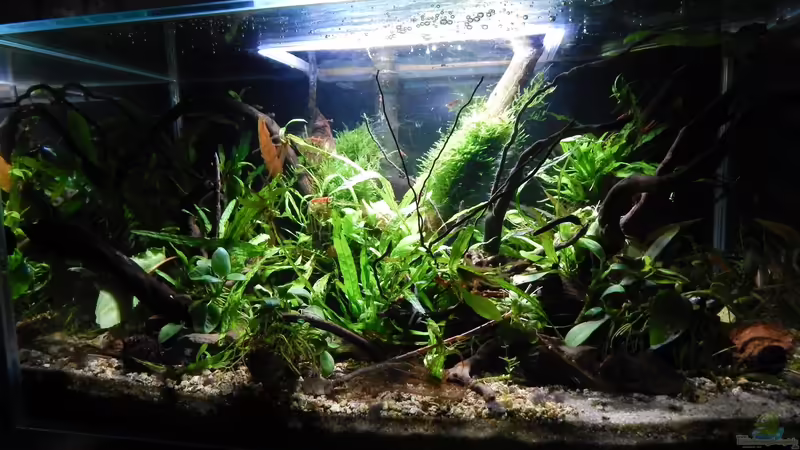 April 2015 von Stefan_S (6)