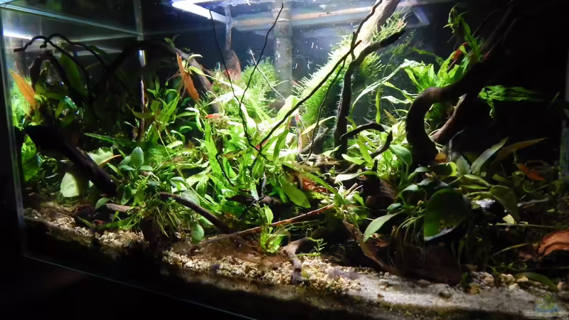 April 2015 von Stefan_S (8)