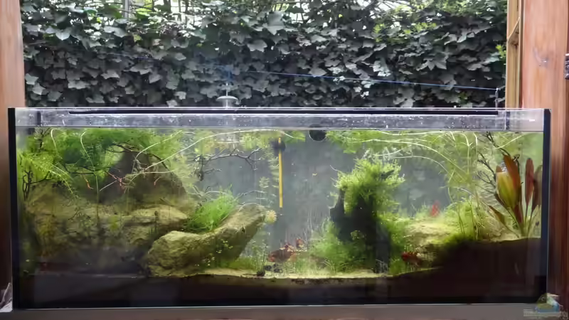 April 2016 - 8 Monate von paris (12)