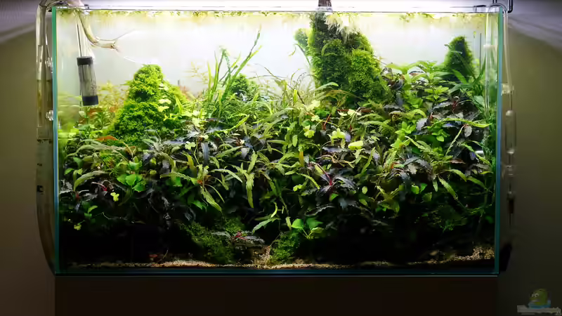 April 2018 von Micha... (11)