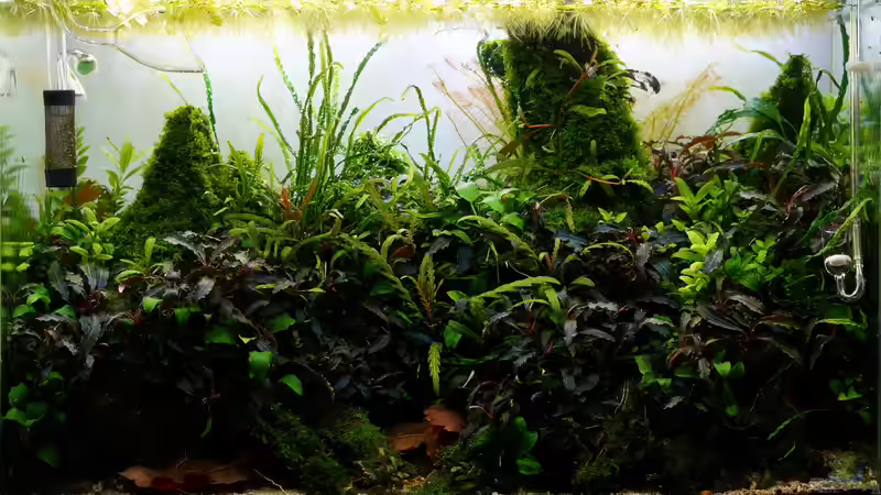 April 2018 von Micha... (12)