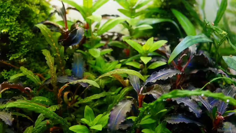 April 2018 von Micha... (50)