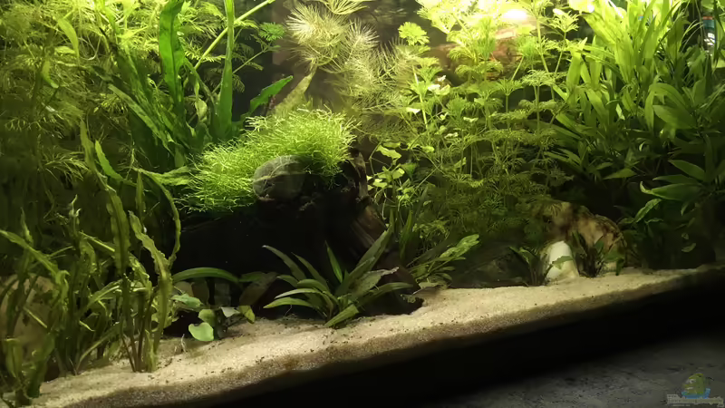 April 2021 von Maji (5)