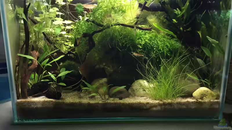 April 2021 von Maji (5)