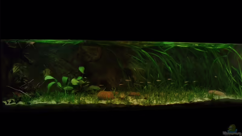 April-Mai 2013 von PH Neutral (12)