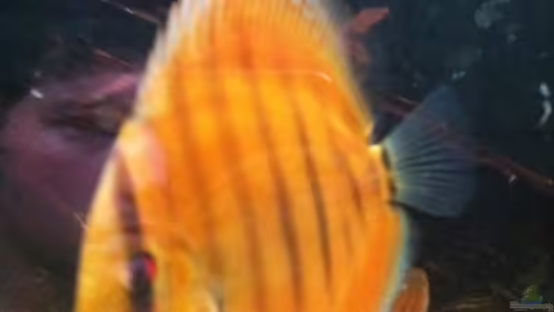 April13 von maxarl (37)