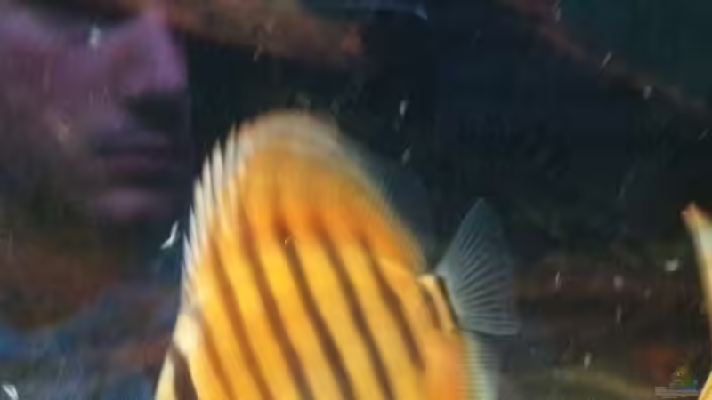 April13 von maxarl (39)