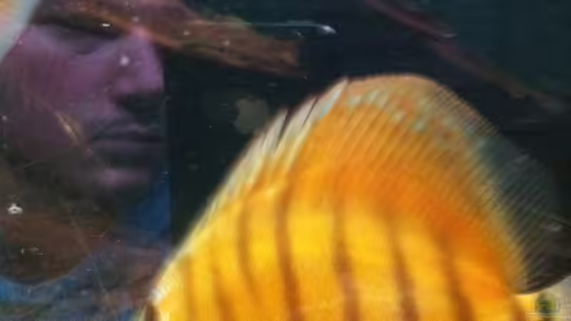 April13 von maxarl (40)