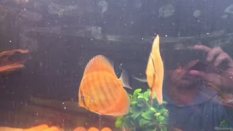 April13 von maxarl (43)