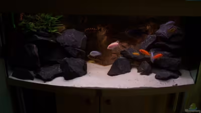 AQ - Abends von Michael Boeck (2)