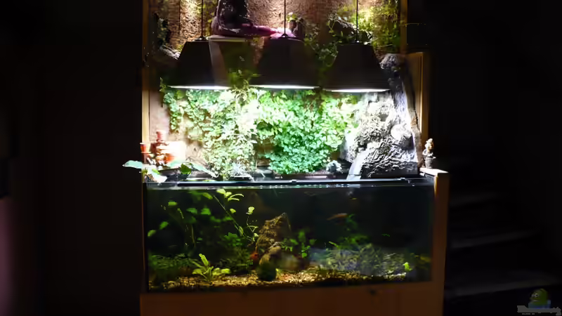 AQ. in der Nacht von Werner Lehmann (6)