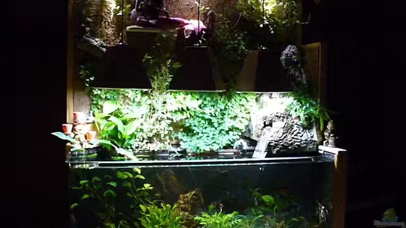 AQ. in der Nacht von Werner Lehmann (7)