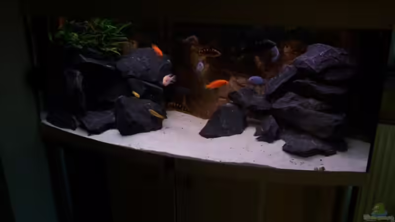 AQ Abends  Frontansicht von Michael Boeck (1)