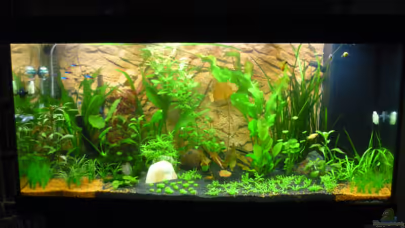 AQ am 15.05.09 von Sabrina & Dirk Bergmann (2)